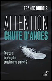 Attention chute d'anges - Pourquoi le pangolin aussi monte au ciel ?